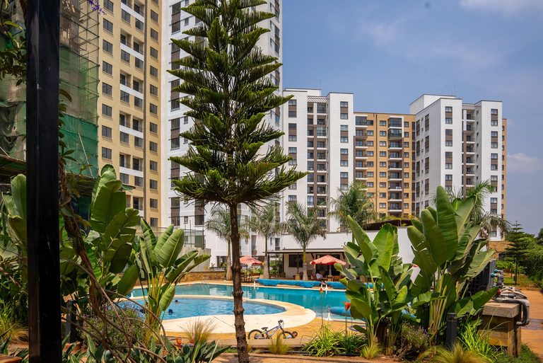 swimming pool seen through garden plants, Garden City