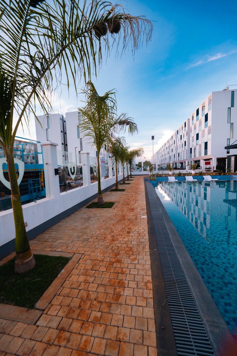 Paved walkway beside a pool lined with palm trees, Tatu City