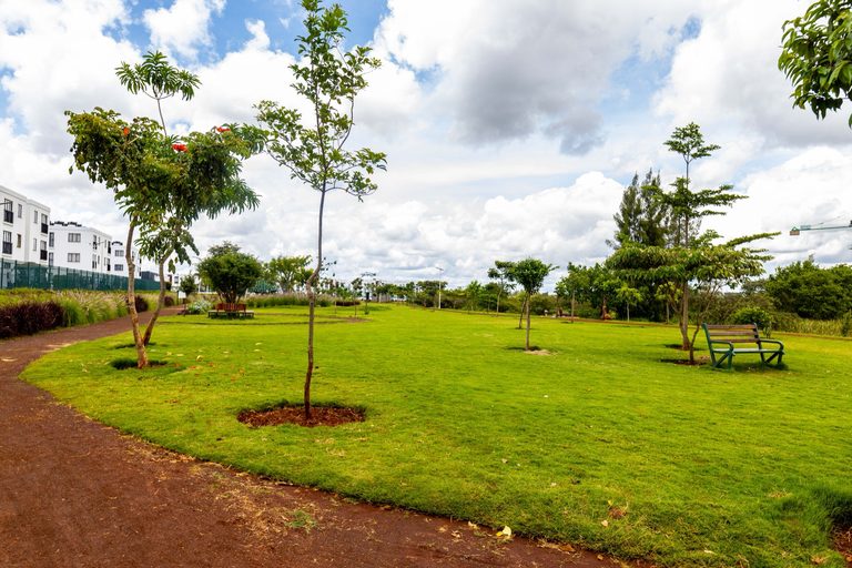 Wide grassy park area with young trees and a dirt path, Tatu City