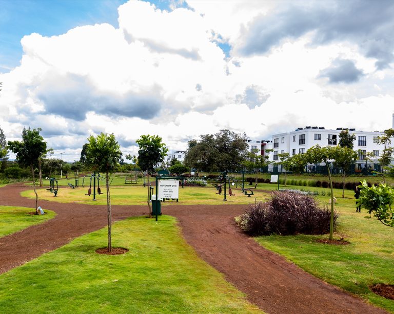 Wide landscaped park with winding paths and young trees, Tatu City