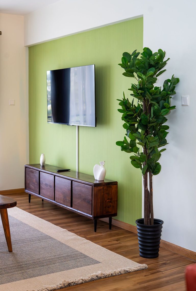 living room tv wall with a console table and tall plant, The Emerald, Garden City