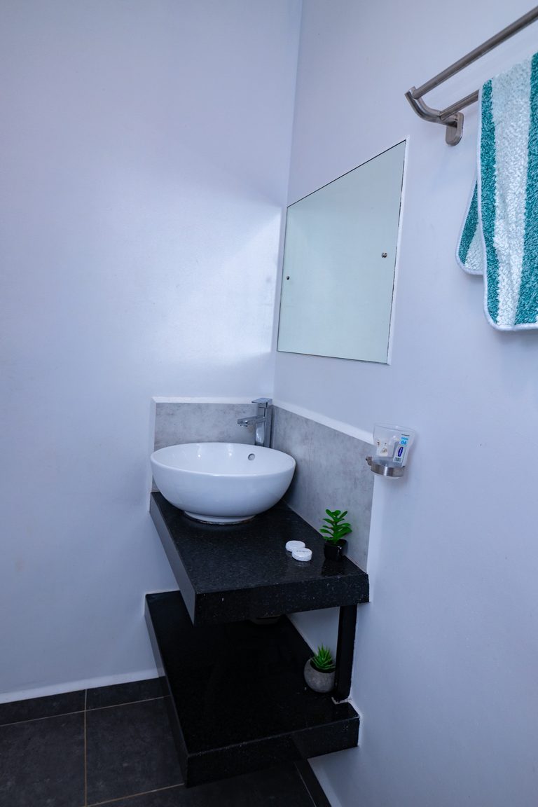 Vessel sink corner with a small potted plant and a teal towel on the rail, The Graphite, Tatu City