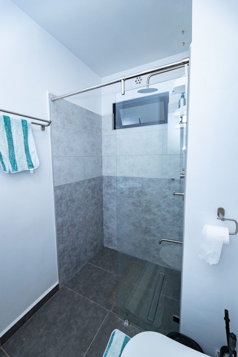 Walk-in shower with a sliding glass door, rain shower head and grey mosaic tiles, The Graphite, Tatu City