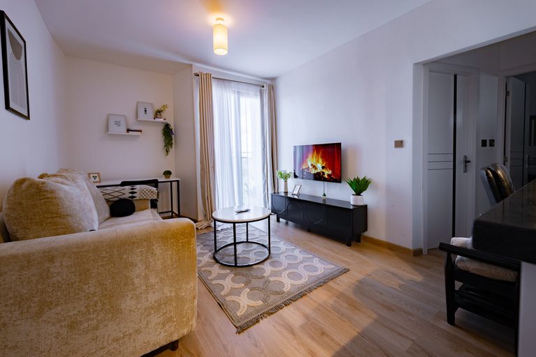 Beige sofa facing a TV playing a fireplace video, round coffee table and patterned rug, The Graphite, Tatu City
