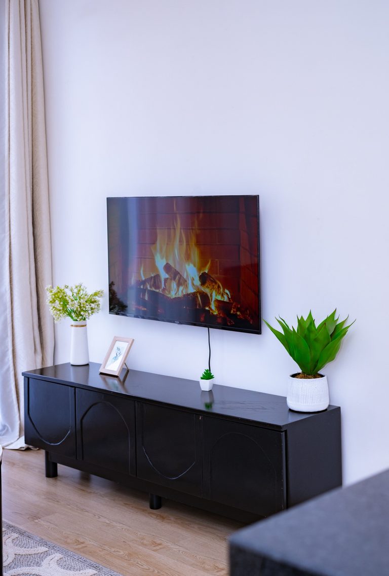 TV console with a vase of flowers, a small plant and a framed print, The Graphite, Tatu City